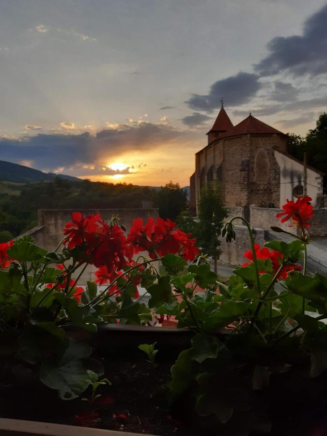 Posada Sarigarri Абаурреа-Баха Экстерьер фото